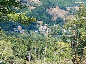 Parcelle boisée Pourcharesse