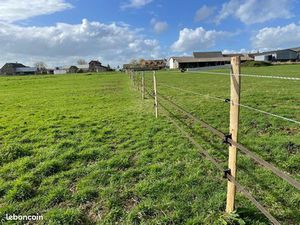 Prairie/terrain à louer pour chevaux