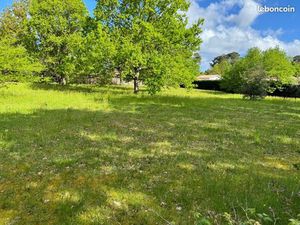 Terrain 750 m2 Viabilisé Lege Cap Ferret