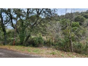 Terrain 41 460 m² Collobrieres