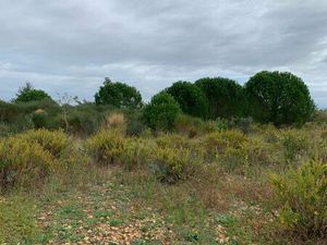 Terrain pour chevaux