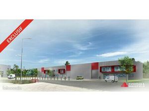 Local d'activité 1 661 m²