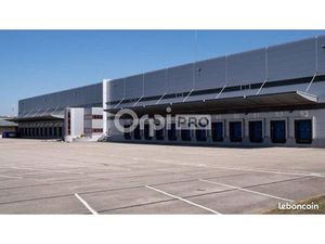 Local d'activité 19 432 m²