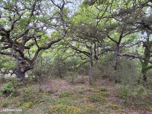 Terrain Rians non constructible