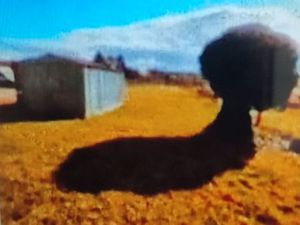 Terrain 650m²  étang-pêcheur à proximité