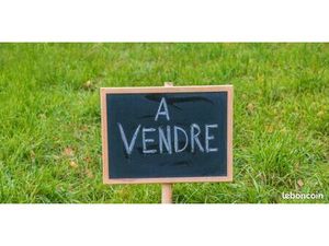 Terrain constructible