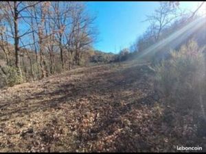 Terrain agricole 2 5ha