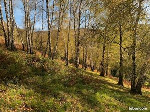 Vente terrain agricole