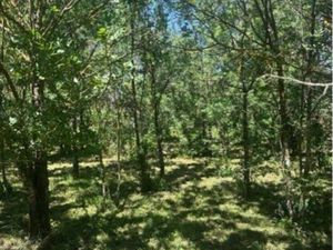 Terrain agricole /loisir