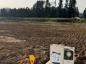 Vente terrain 784 m² à Thun-l'Evêque (59141)  79 900 €