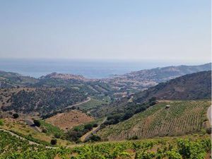 Parcelle vigne chapelle de la salette