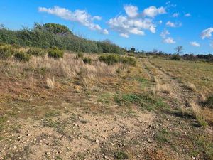 Terrain agricole 5000 m2 St André