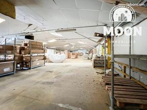 Local 704 m² Castres