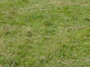 Recherche terrain agricole