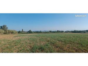 Grand terrain agricole ou de loisirs