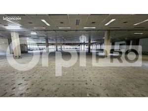 Local d'activité 2 500 m²