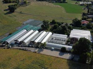 Ferme horticole à reprendre dans le Tarn (Graulhet)