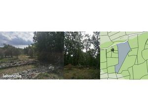 Terrain Agricole 10445 m2 (~1 hectare)