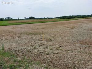 Terrains constructibles