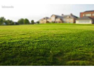 Terrain a Batir MSA VILLAGE