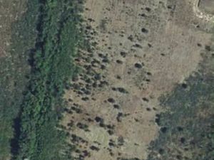 Terrain agricole Narbonne