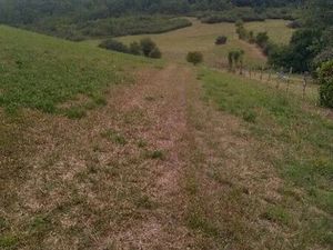 Vends terrain agricole 17 ha
