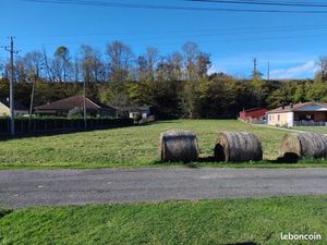 Terrain viabilisé à vendre – 3 140 m² – Aventignan (65370)