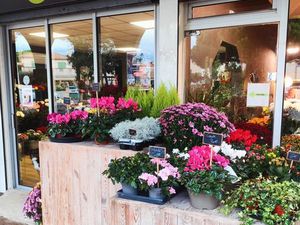 Fonds de commerce Fleuriste