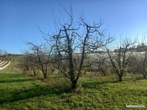 Terrain agricole 14 Hectares