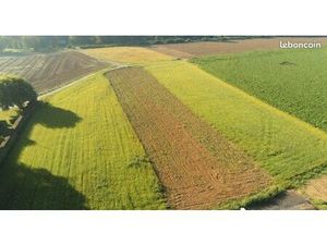 Terrains à bâtir - Hamel