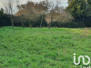 Terrain 1146 m² L' OIE