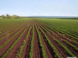Recherche terrain agricole