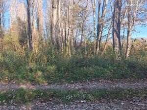 Terrain boisé ou de loisir