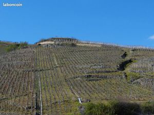 F3 Ampuis avec vue imprenable sur le vignoble de Côte-Rôtie