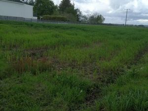 Terrain constructible