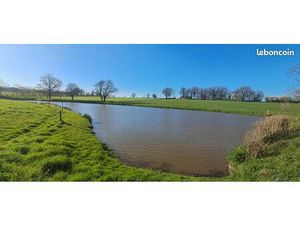 Terrain 43 196 m² La Ferriere