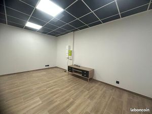 Location local professionnel