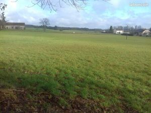 Grand terrain constructible