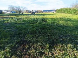 Terrain constructible