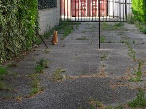 Loue parking cloture4mx17 prix 140/mois dispo