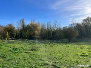 ◊ À LOUER – Terrain de 5 500 m² avec abri – Idéal chevaux ou moutons