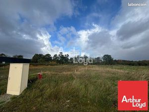 Local d'activité 729 m²