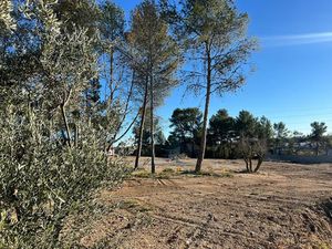 Vente terrain 429 m² à Saint-Clément-de-Rivière (34980)  215 000 €