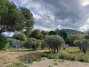 Vente terrain 1060 m² à Ventabren (13122)  375 000 €