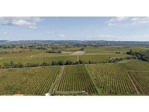 Vente terrain 340 m² à Ceyras (34800)  115 000 €