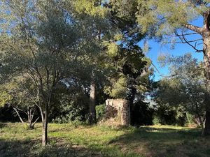 Vente terrain à batir 769 m² à Ollioules (83190)  285 000 €