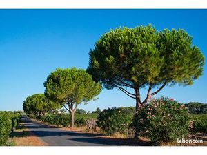 Location gérance restaurant