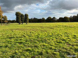 Recherche prairies / pâtures pour chevaux