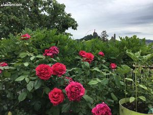 Villa le puy en velay