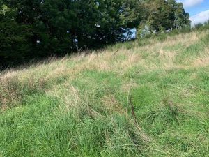 Terrain constructible viabilisé